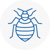 Bed Bug Extermination In Hazel Grove