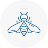 Bee Nest Removal Hazel Grove