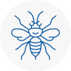 Hazel Grove Hornet Nest Removals