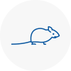 Mice Exterminators In Hazel Grove