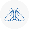 Moth Control Specialists In Hazel Grove