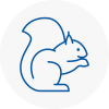 Hazel Grove Rodent Removals